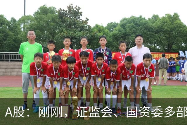 A股：刚刚，证监会、国资委多部门重磅发声！明日将迎来更大转变